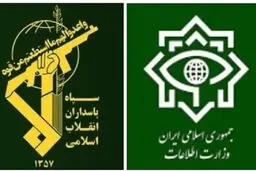 شناسایی و ضربه به «شبکۀ سازماندهی اغتشاشات»