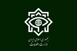 وزارت اطلاعات لیدرهای تجمعات ضدایرانی خارج از کشور را دستگیر کرد + فیلم