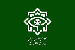 وزارت اطلاعات لیدرهای تجمعات ضدایرانی خارج از کشور را دستگیر کرد + فیلم