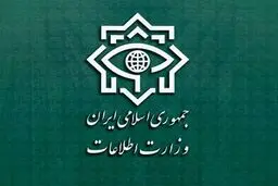 وزارت اطلاعات:۳۰ انفجار همزمان در تهران خنثی شد / ۲۸ تروریست بازداشت شدند