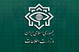 وزارت اطلاعات:۳۰ انفجار همزمان در تهران خنثی شد / ۲۸ تروریست بازداشت شدند