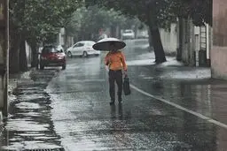 کاهش محسوس دما در نوار شمالی کشور