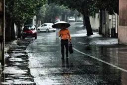 کاهش محسوس دما در نوار شمالی کشور