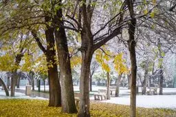 پیش بینی بارش برف در ارتفاعات اردبیل