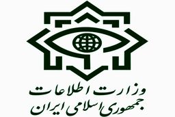 یکی از سرشبکه‌های داعش در سیستان و بلوچستان دستگیر شد