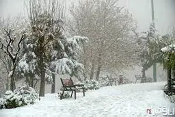 ادامه بارش برف و باران در ۱۴ استان