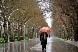 بارش باران در شرق کشور