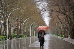 بارش باران در شرق کشور