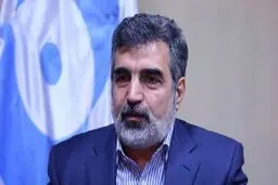تست سرد راکتور اراک اوایل سال ۱۴۰۰ انجام می‌شود/ روند همکاری آژانس با ایران رضایت‌بخش نیست
