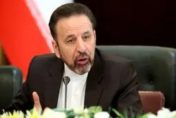 تاکنون هیچ مسئولی واکسن نزده است/ تکلیف واکسن‌ها قبل از ورود به کشور در ستاد ملی کرونا مشخص شده