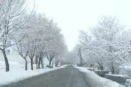 هواشناسی ایران ۱۴۰۲/۱۱/۳۰؛ بارش ۵روزه برف و باران در برخی مناطق کشور/ هشدار کاهش دما و یخ‌زدگی برای ۱۲ استان