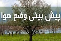 وزش باد شدید در سراسر کشور از امروز