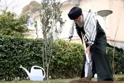 رهبر انقلاب سه اصله نهال غرس کردند