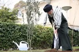 رهبر انقلاب سه اصله نهال غرس کردند