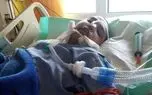 آخرین مجروح حمله تروریستی کرمان به شهادت رسید