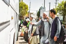 جزئیاتی جدید از طرح ساماندهی اتباع خارجی