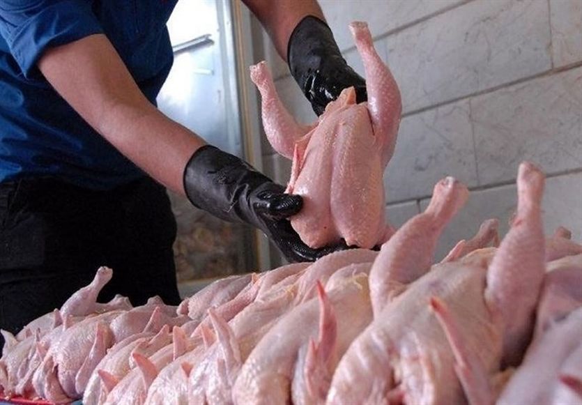 مرغ را گران‌تر از این قیمت نخرید