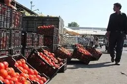 قیمت رسمی میوه و سبزیجات اعلام شد/ گوجه‌فرنگی لاکچری شد