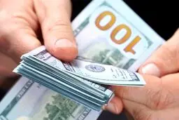 پیشتازی دلار نیما ادامه دارد/ نرخ امروز:۵۰هزار و ۱۹۰تومان
