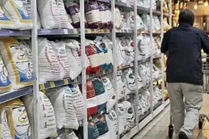 برنج پاکستانی 260 تومانی شد