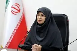 رئیس سازمان محیط زیست: توقف مازوت‌سوزی در سه نیروگاه ربطی به کاهش آلودگی هوای تهران نداشت