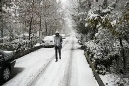 هواشناسی ایران ۲۹ آبان ۱۴۰۳: بارش و برف و باران در ۲۶ استان