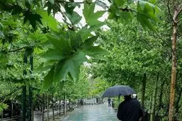 هوای تهران به لطف باران قابل قبول شد