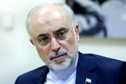 افشاگری مهم علی‌‌اکبر صالحی از پشت‌پرده دروغ بتن‌ریزی در رآکتور اراک؛ لوله‌های مخزن سوخت را با بتن پر کردیم / فقط رهبری اطلاع داشت