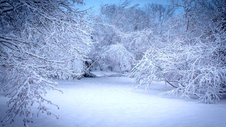 سرمای بیسابقه تهران/ سردترین شهرهای ایران در ۲۴ ساعت اخیر کدامند؟