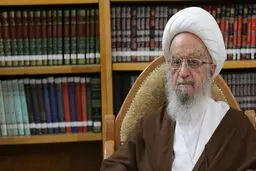 آیت‌الله‌ مکارم‌شیرازی: باید از تاریخ درس بگیریم و متحد بمانیم/ حاکمان فعلی سوریه با یکدیگر متحد نخواهند ماند