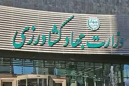 لیست ممنوعه محصولات کشاورزی صادراتی در ۱۴۰۴