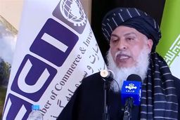 طالبان برای مقابله با آمریکا، خواستار تقویت روابط با ایران شد