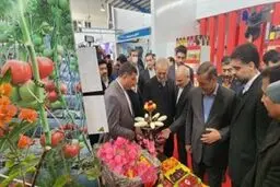 بازدید پزشکیان از مرکز تشخیصی درمان قلب و نمایشگاه تخصصی کشاورزی در بجنورد