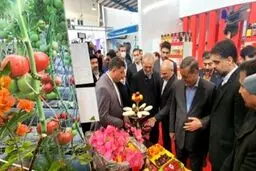 بازدید پزشکیان از مرکز تشخیصی درمان قلب و نمایشگاه تخصصی کشاورزی در بجنورد