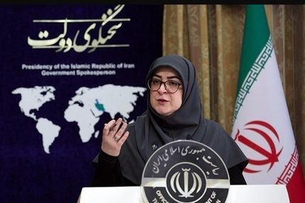 سخنگوی دولت: رئیس‌جمهور بر تمرکززدایی و واگذاری اختیارات وزرا به استانداران تاکید دارد