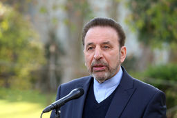 واعظی: بررسی FATF در مجمع تشخیص مصلحت امیدوارکننده است/ منافع ملی اقتضا می‌کند از سد FATF عبور کنیم
