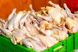 جزئیات افزایش قیمت مرغ