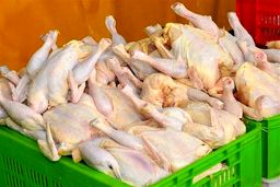 جزئیات افزایش قیمت مرغ