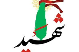 شهادت مامور پلیس در هرمزگان به خاطر بررسی سلاح معیوب