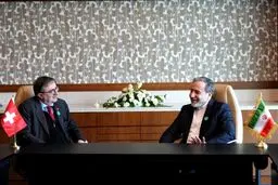 اعلام آمادگی تهران برای تداوم مذاکرات با سه کشور اروپایی/ سیاست فشار حداکثری شکست خواهد خورد