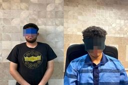 ۴۰ سرقت در سه ماه در کارنامه متهمان قتل امیرمحمد خالقی