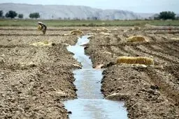 چالش جدی خاک: شور شدن بیش از ۱۰.۵ میلیون هکتار از اراضی کشور