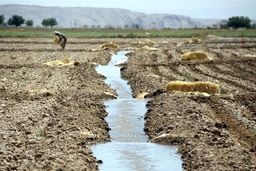 چالش جدی خاک: شور شدن بیش از ۱۰.۵ میلیون هکتار از اراضی کشور