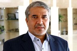 نماینده رفسنجان درباره پیامک استیضاح همتی افشاگری کرد