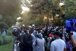تشریخ آخرین مصوبات مجلس درباره طرح ساماندهی تجمعات و راهپیمایی‌ها