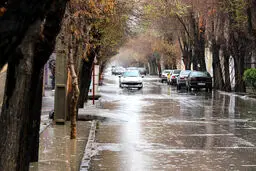 ۱۱ استان منتظر بارندگی و وزش باد باشند
