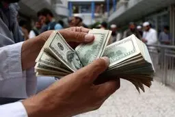 پیش‌بینی جالب یک اقتصاددان/ قیمت دلار تا کجا بالا می‌رود؟