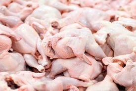 امارات، تامین‌کننده اصلی مرغ کشور