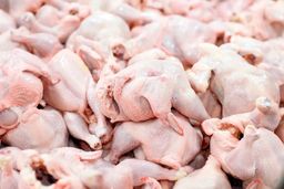 امارات، تامین‌کننده اصلی مرغ کشور