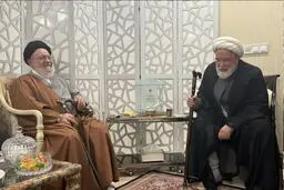 آیت‌الله موسوی خوئینی‌ها با مهدی کروبی دیدار کرد